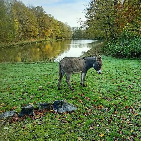 Deux Etangs Poissonneux Au Milieu Des Bois Avec Moderne, La Halte Des Deux Lacs Rosée