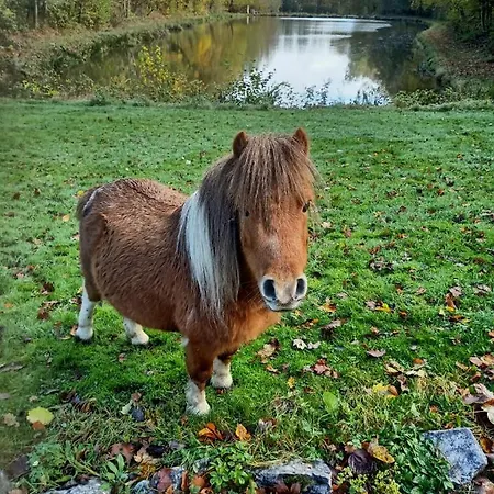 Deux Etangs Poissonneux Au Milieu Des Bois Avec Moderne, La Halte Des Deux Lacs * Rosée