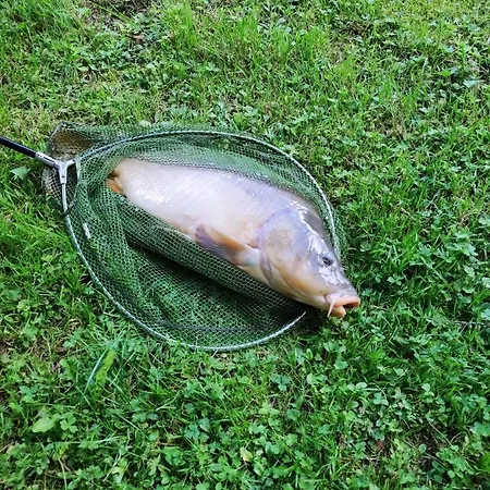 Deux Etangs Poissonneux Au Milieu Des Bois Avec Moderne, La Halte Des Deux Lacs * Rosée