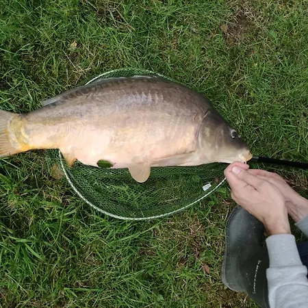 Deux Etangs Poissonneux Au Milieu Des Bois Avec Moderne, La Halte Des Deux Lacs בית נופש