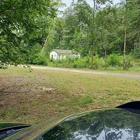 Deux Etangs Poissonneux Au Milieu Des Bois Avec Moderne, La Halte Des Deux Lacs بيت للعطل *