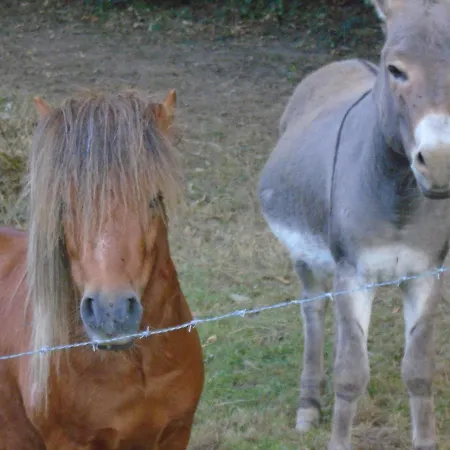 Deux étangs Poissonneux Au Milieu Des Bois Avec Moderne, La Halte Des Deux Lacs Сasa de vacaciones