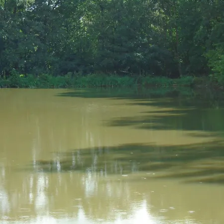 בית נופש Deux Etangs Poissonneux Au Milieu Des Bois Avec Moderne, La Halte Des Deux Lacs *