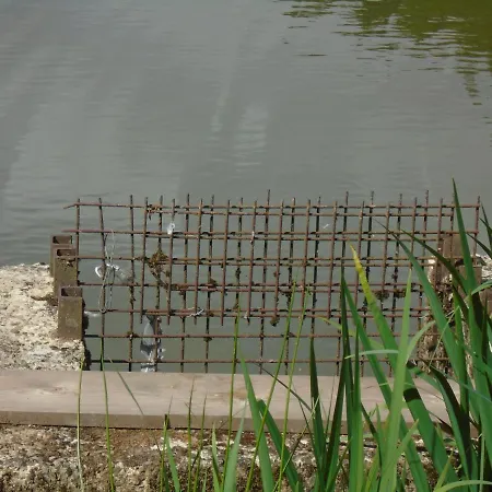 Deux Etangs Poissonneux Au Milieu Des Bois Avec Moderne, La Halte Des Deux Lacs Rosée