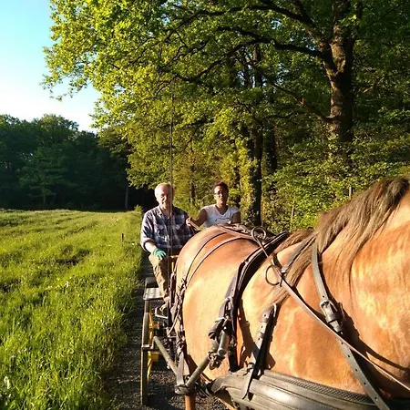 Сasa de vacaciones Deux étangs Poissonneux Au Milieu Des Bois Avec Moderne, La Halte Des Deux Lacs