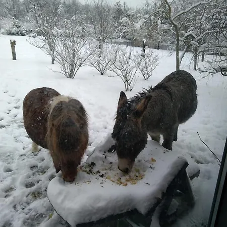 Deux étangs Poissonneux Au Milieu Des Bois Avec Moderne, La Halte Des Deux Lacs Rosée