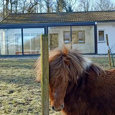 Holiday home Deux Etangs Poissonneux Au Milieu Des Bois Avec Moderne, La Halte Des Deux Lacs