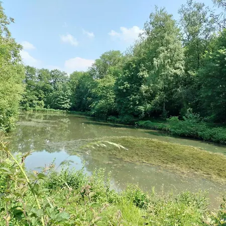 Deux étangs Poissonneux Au Milieu Des Bois Avec Moderne, La Halte Des Deux Lacs Сasa de vacaciones *