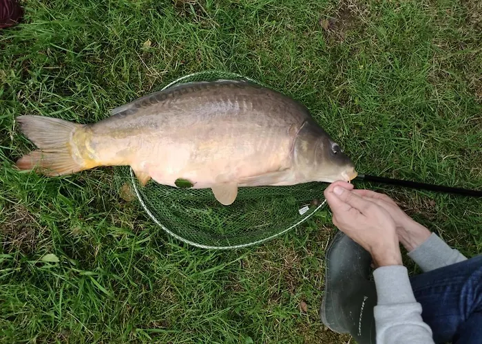 Deux Etangs Poissonneux Au Milieu Des Bois Avec Moderne, La Halte Des Deux Lacs Ferienhaus