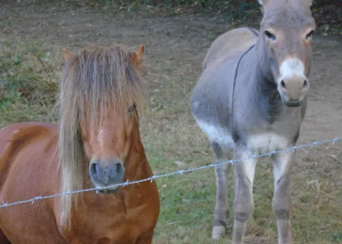 Deux Etangs Poissonneux Au Milieu Des Bois Avec Moderne, La Halte Des Deux Lacs Ferienhaus