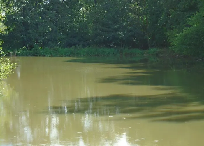 Ferienhaus Deux Etangs Poissonneux Au Milieu Des Bois Avec Moderne, La Halte Des Deux Lacs *