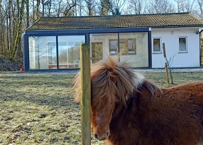 Ferienhaus Deux Etangs Poissonneux Au Milieu Des Bois Avec Moderne, La Halte Des Deux Lacs